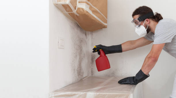 Professional Attic Mold Removal technician working in Woodbury Heights, NJ