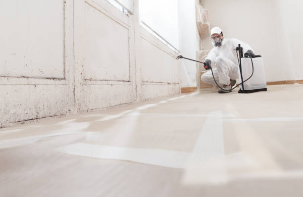 24/7 Emergency Attic Mold Removal experts in Woodbury Heights, NJ