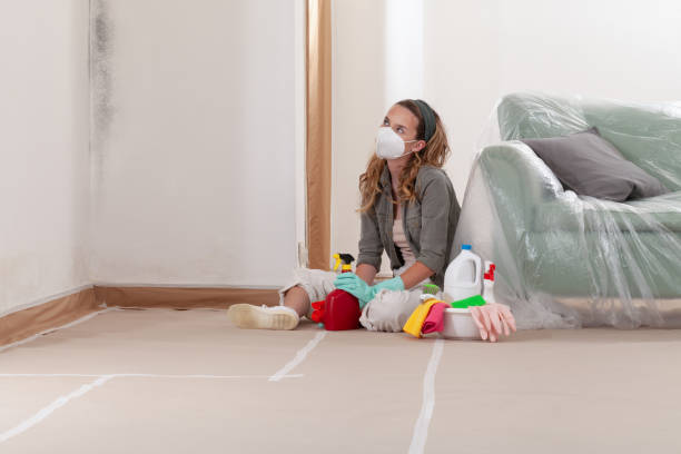 Reliable Attic Mold Removal contractor in Woodbury Heights, NJ by WQB Mold Removal